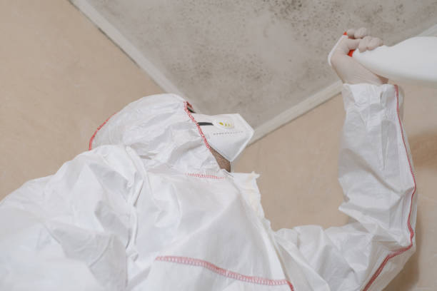 Best Certified Mold Removal  in Sky Lake, FL