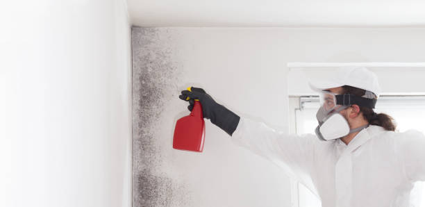 Best Commercial Mold Removal  in Sky Lake, FL